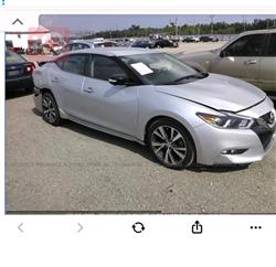 نيسان ماكسيما